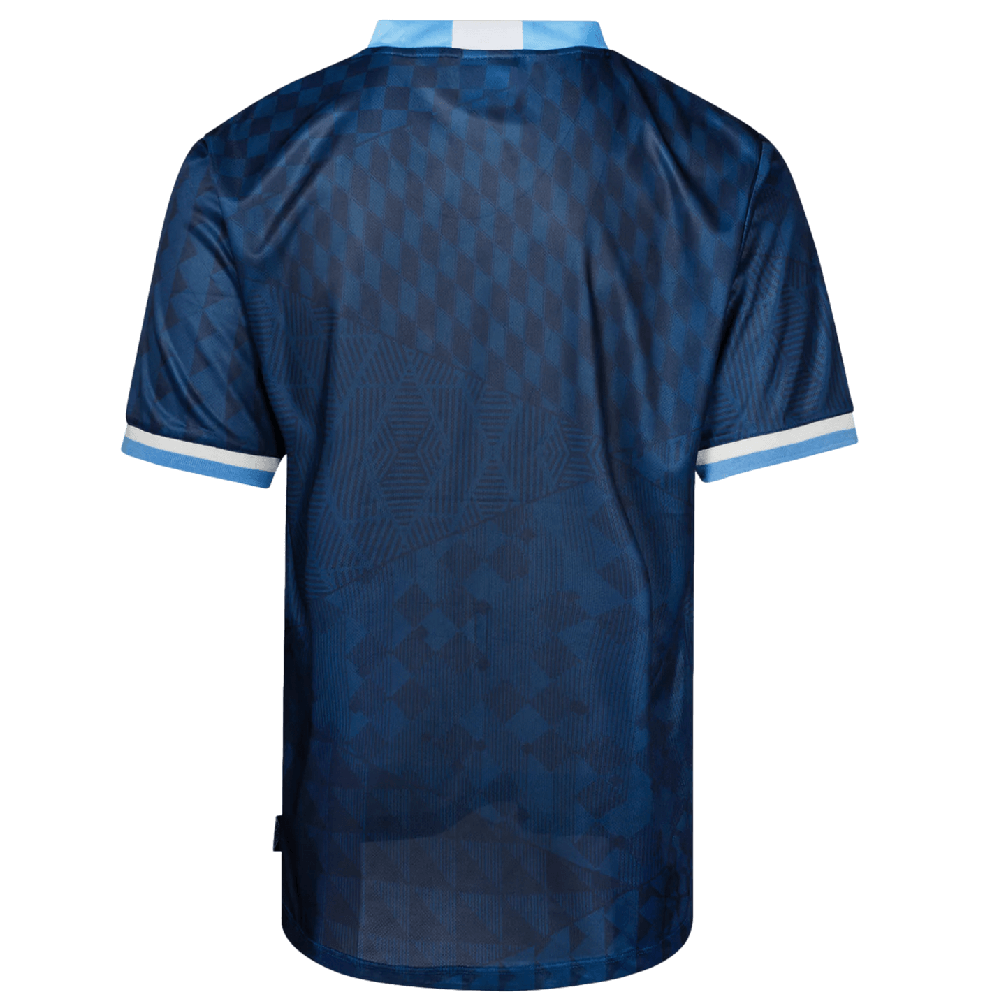 2026 Fan Soccer Jersey Argentina 24 Iconic Graphic Jersey